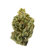 Load image into Gallery viewer, Exotic THC-A Cannabis Seeds
