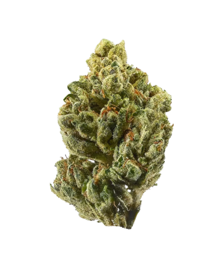 Exotic THC-A Flower - Mega Boof - Sativa (39%)